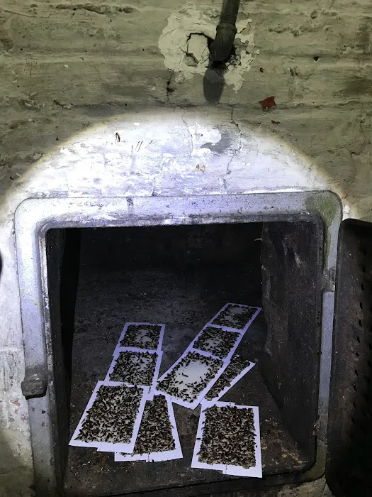 Eudaimonia Pest Control Picture 6