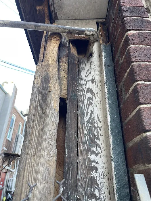 Eudaimonia Pest Control Picture 7