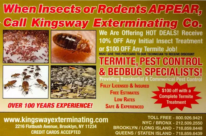 Kingsway Exterminating Picture 5