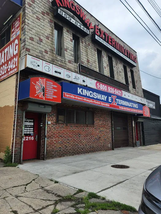 Kingsway Exterminating Picture 4