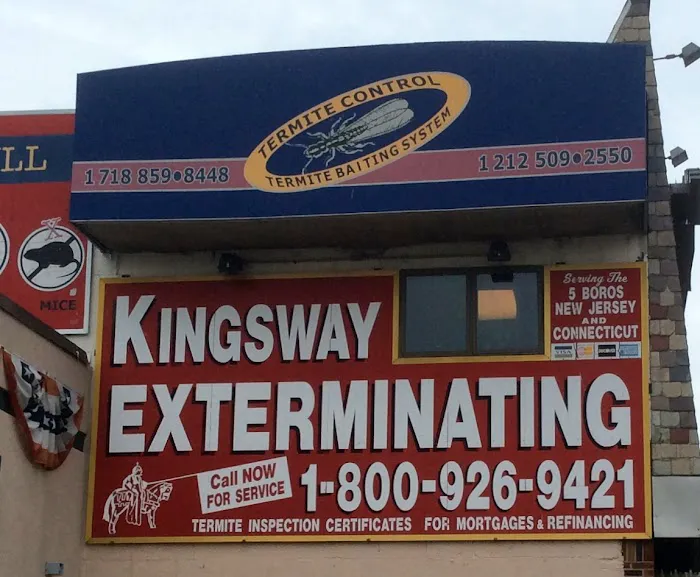 Kingsway Exterminating Picture 10