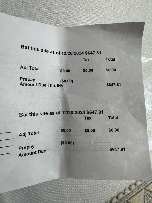 Kingsway Exterminating Picture 3