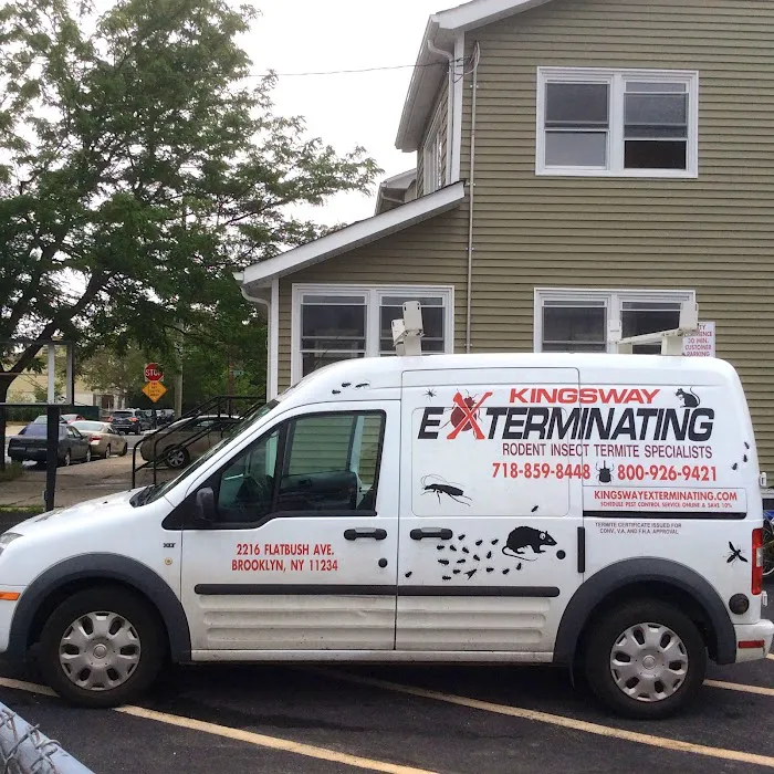 Kingsway Exterminating Picture 7