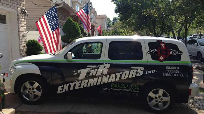TNR Exterminators Inc Picture 5