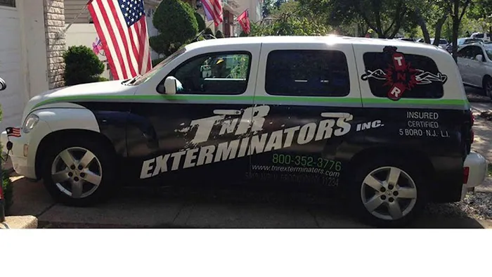 TNR Exterminators Inc Picture 4