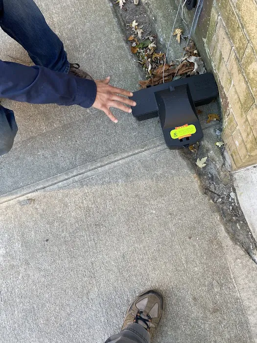 M&K Pest control Picture 8