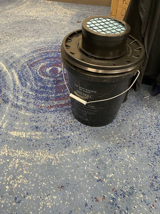 M&K Pest control Picture 10