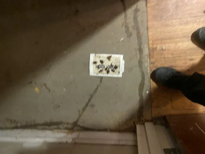 M&K Pest control Picture 6