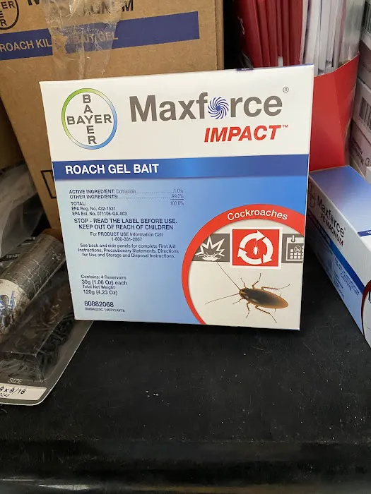 M&K Pest control Picture 3