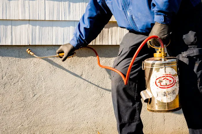 Alpha Pest Management Picture 1