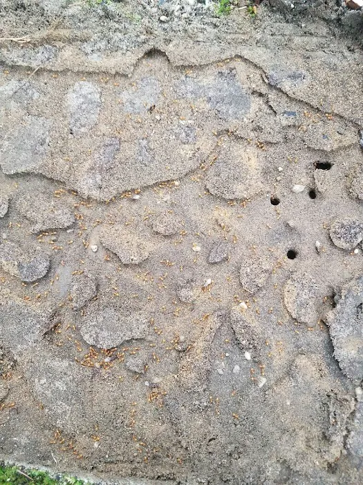 Rest Easy Pest Control Picture 4