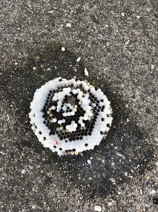 Rest Easy Pest Control Picture 7