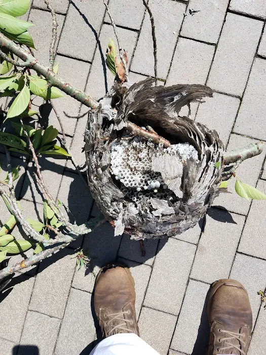 Rest Easy Pest Control Picture 2