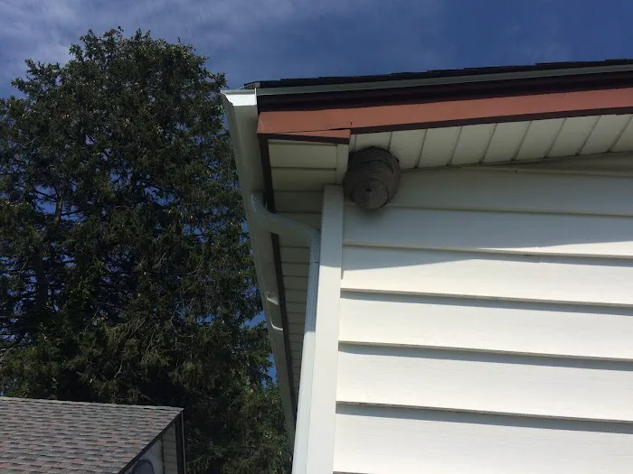 Rest Easy Pest Control Picture 3