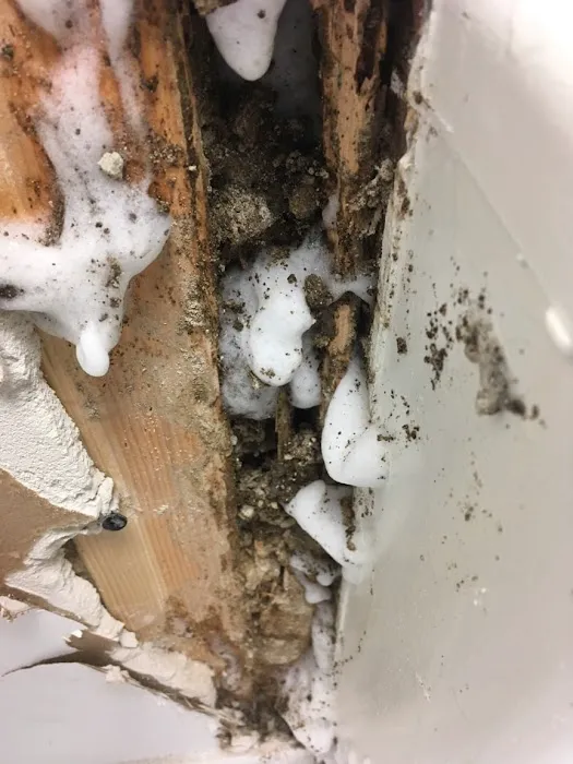 Rest Easy Pest Control Picture 5