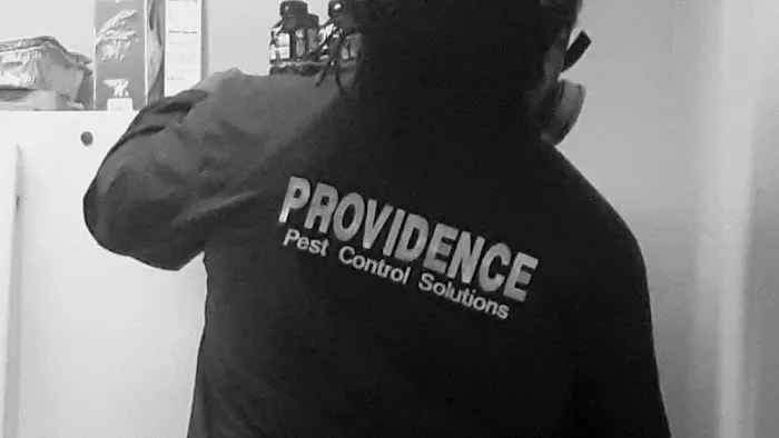 Providence Pest Control Solutions Picture 9