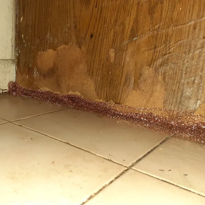 Providence Pest Control Solutions Picture 8