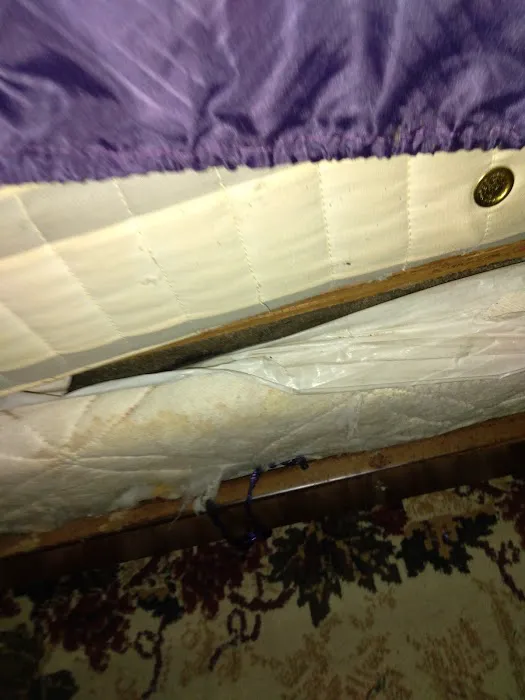 Providence Pest Control Solutions Picture 7