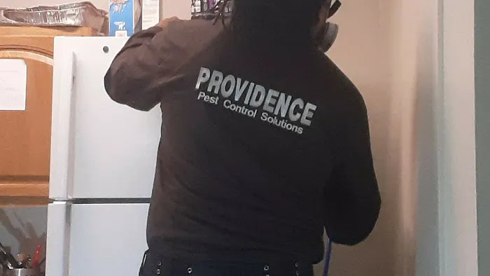 Providence Pest Control Solutions Picture 2