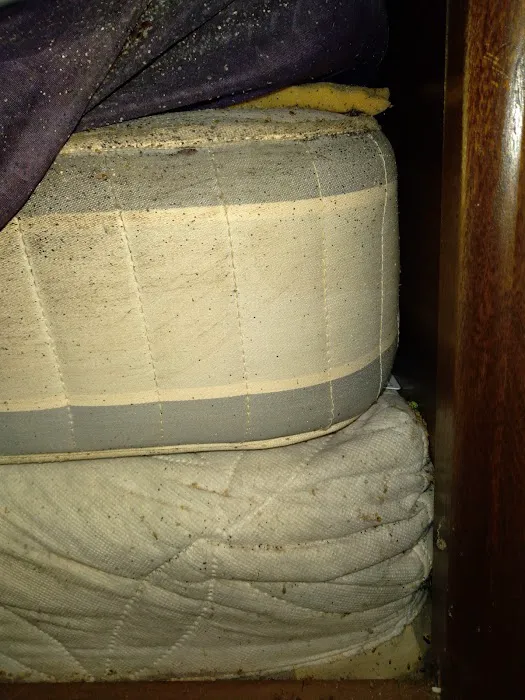 Providence Pest Control Solutions Picture 10