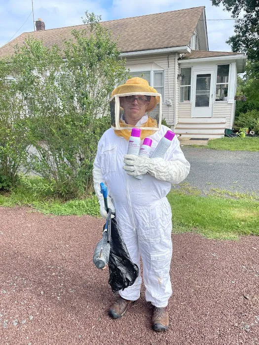 Ace Walco Termite & Pest Control Picture 2