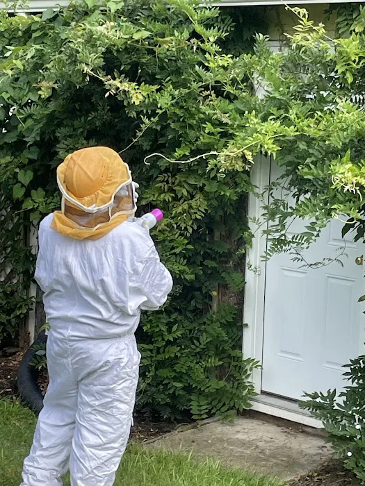 Ace Walco Termite & Pest Control Picture 9