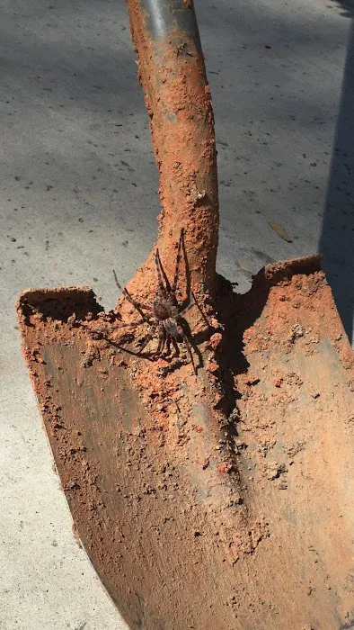 Ace Walco Termite & Pest Control Picture 3