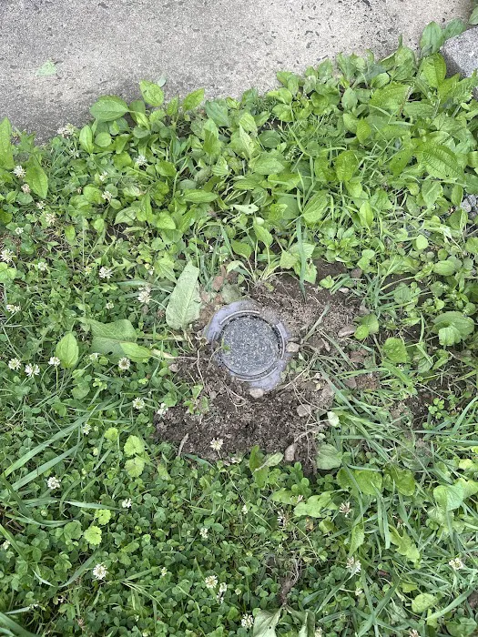 Ace Walco Termite & Pest Control Picture 10