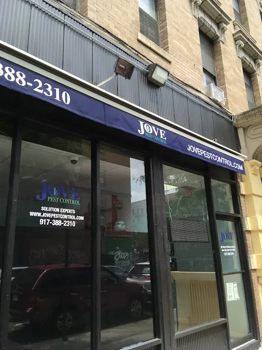 Jove Pest Control | Rat Exterminator Picture 6