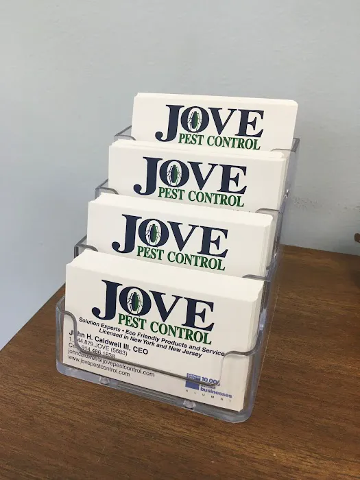Jove Pest Control | Rat Exterminator Picture 3