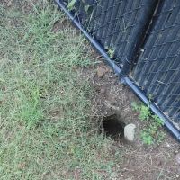 Take Over Pest Control Inc ico