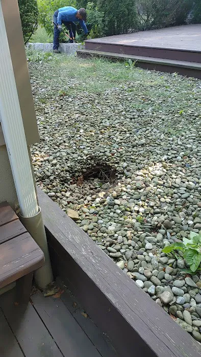 Take Over Pest Control Inc Picture 2