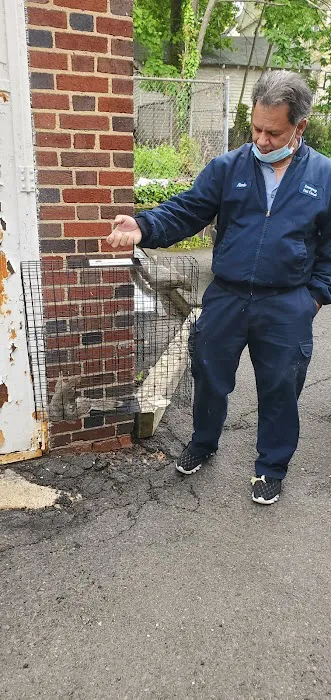 Emergency Pest Control Inc Picture 1