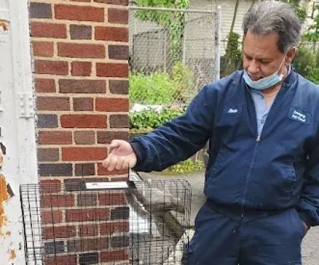 Emergency Pest Control Inc