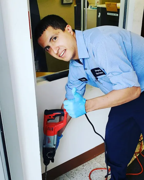 Emergency Pest Control Inc Picture 5