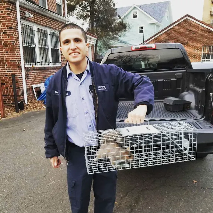 Emergency Pest Control Inc Picture 4