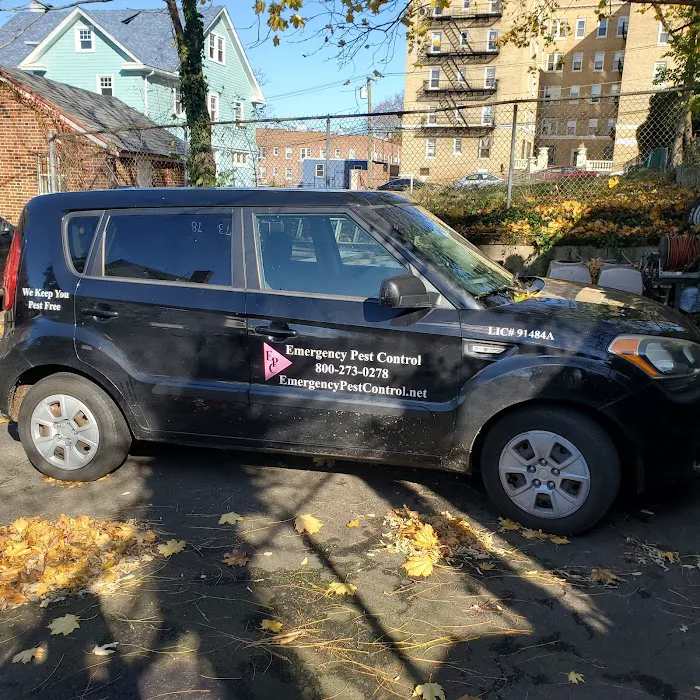 Emergency Pest Control Inc Picture 8