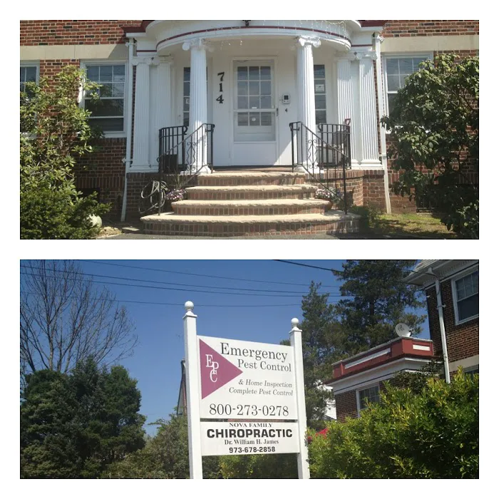 Emergency Pest Control Inc Picture 9