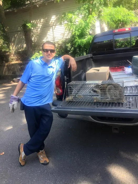 Emergency Pest Control Inc Picture 7