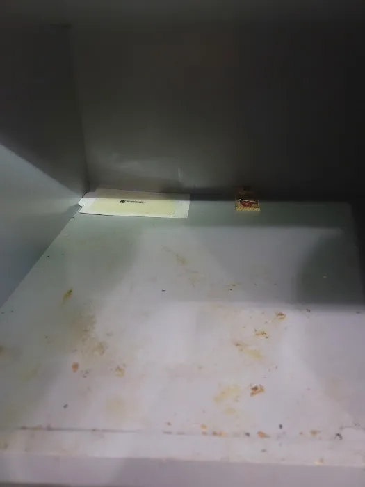 D&C KILLER BEES EXTERMINATION Picture 5