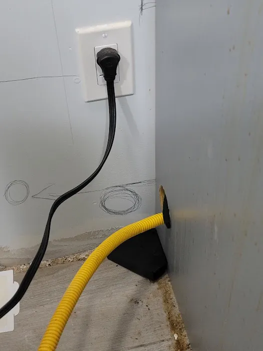 D&C KILLER BEES EXTERMINATION Picture 8