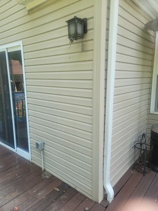 D&C KILLER BEES EXTERMINATION Picture 3