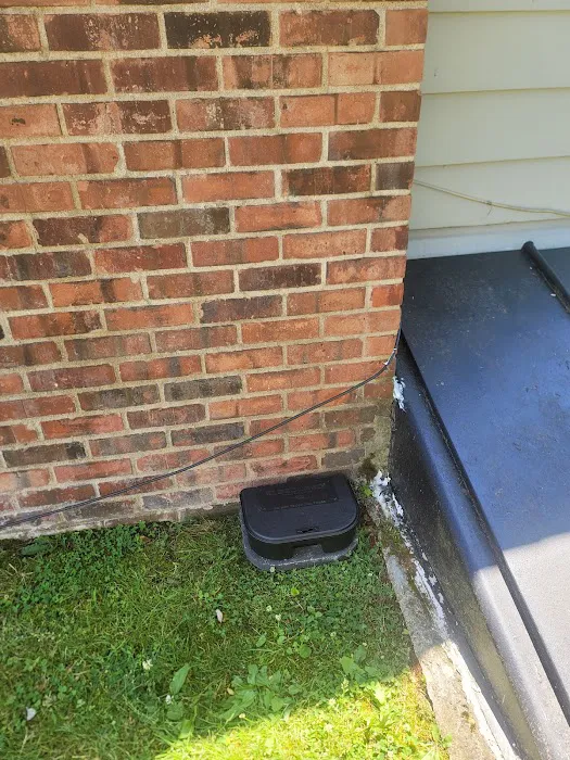 D&C KILLER BEES EXTERMINATION Picture 6