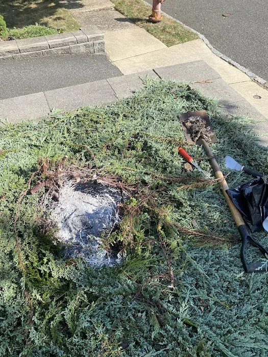 MR.XTERMINATOR Picture 7