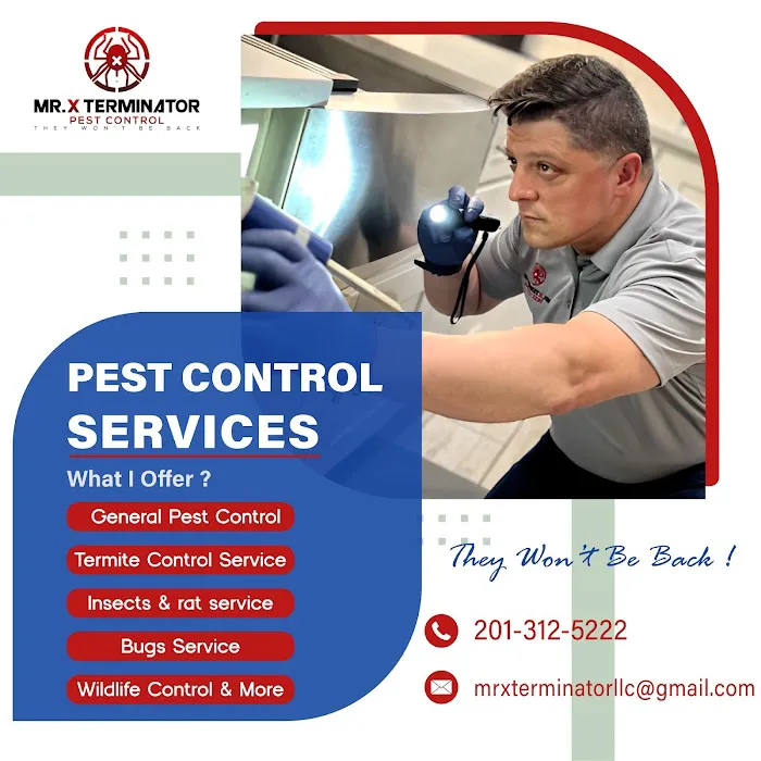 MR.XTERMINATOR Picture 8