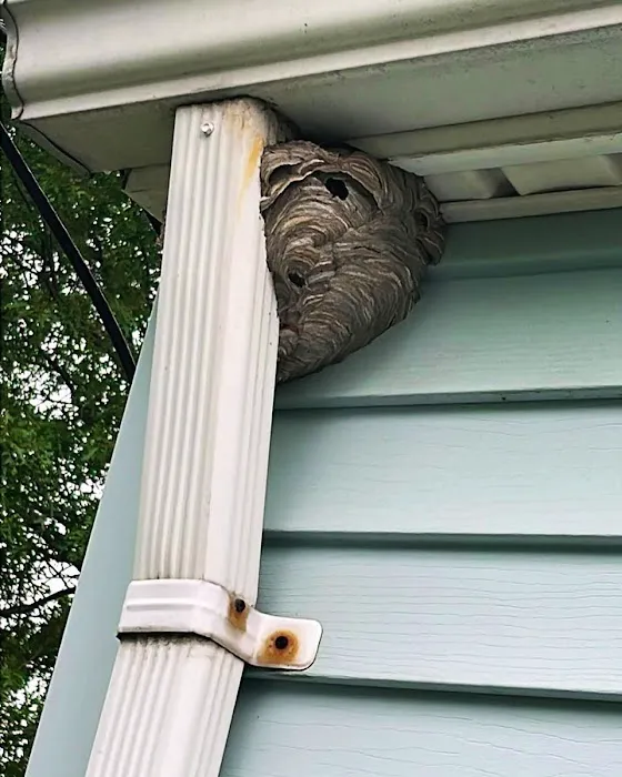 MR.XTERMINATOR Picture 10