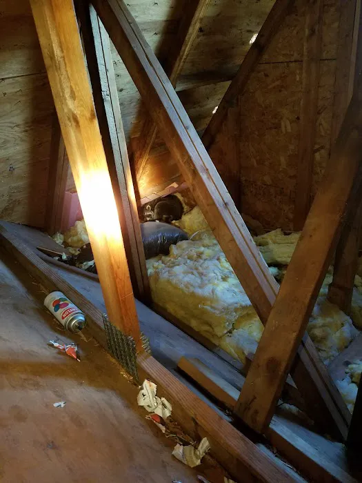 Advantage Termite and Pest Control Picture 9