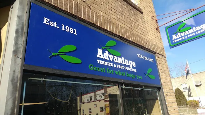 Advantage Termite and Pest Control Picture 1