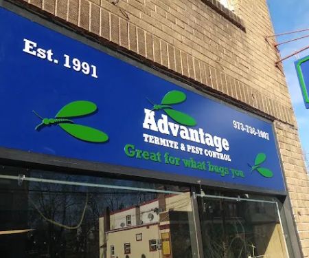 Advantage Termite and Pest Control