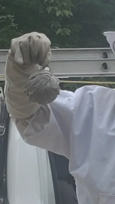 Advantage Termite and Pest Control Picture 3